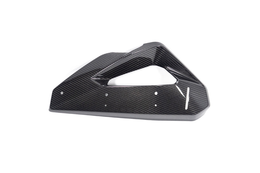 Ilmberger - Cover on Radiator Fairing + Winglet Mount for M 1000 XR