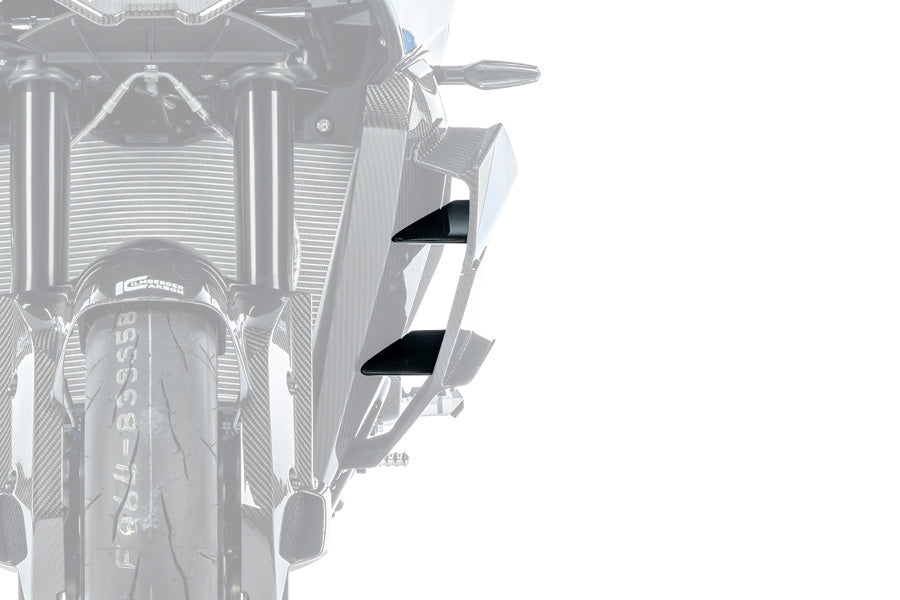 Ilmberger - Inner Winglet for M 1000 XR