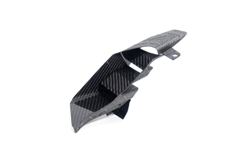 Ilmberger - Rear Winglet for M 1000 XR