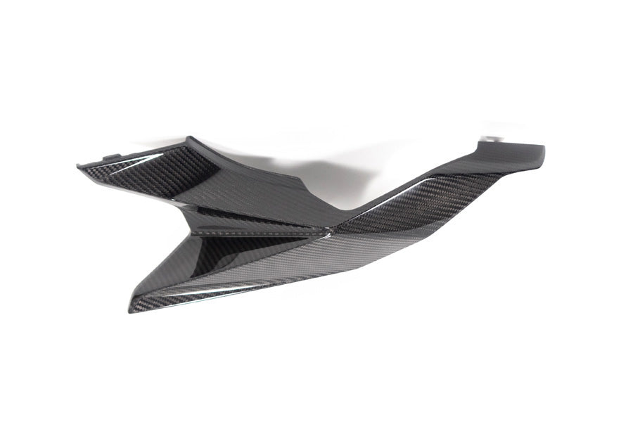 Ilmberger - Rear Fairing for M 1000 XR