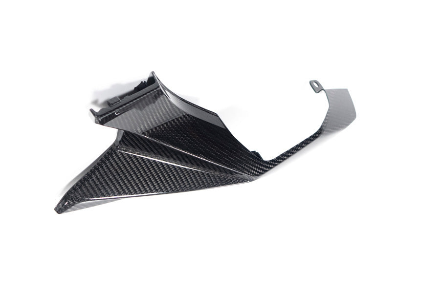 Ilmberger - Rear Fairing for M 1000 XR
