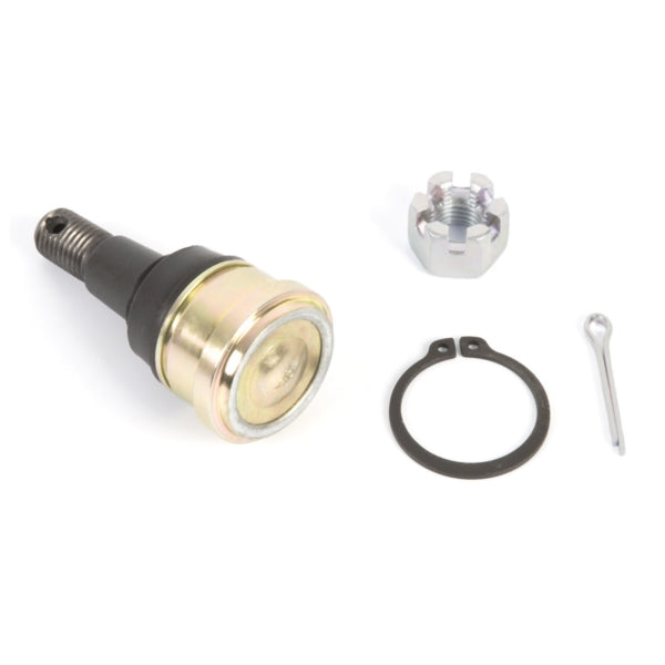 AllBallsRacing-BALL JOINT LWR/UPR POL ALLBALLS 42-1035 723980400911