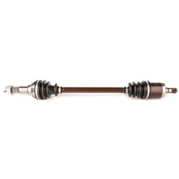 AllBallsRacing-AXLE 6-BALL KUB ALLBALLS AB6-KU-8-302 701567351863