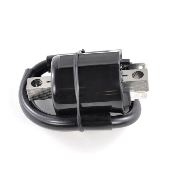 KimpexHD - Ignition Coil (SF-060-001971)