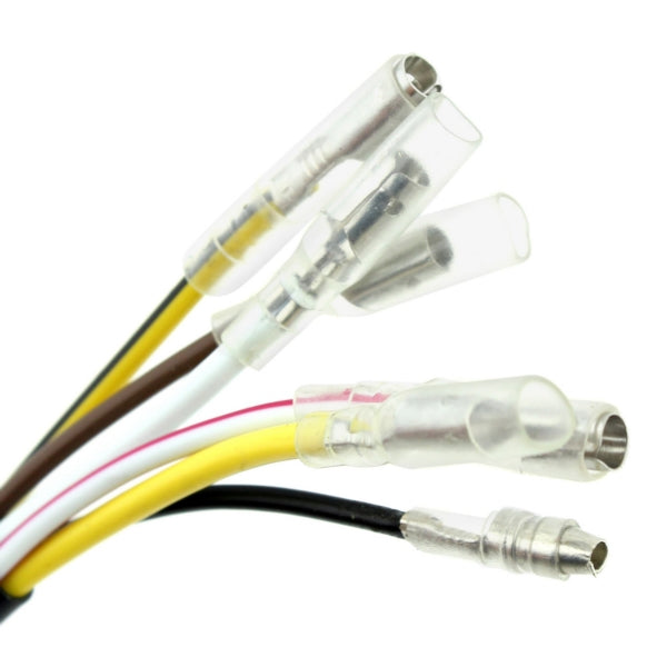 KimpexHD - Stator HD with a Backplate (SF-010-000416)