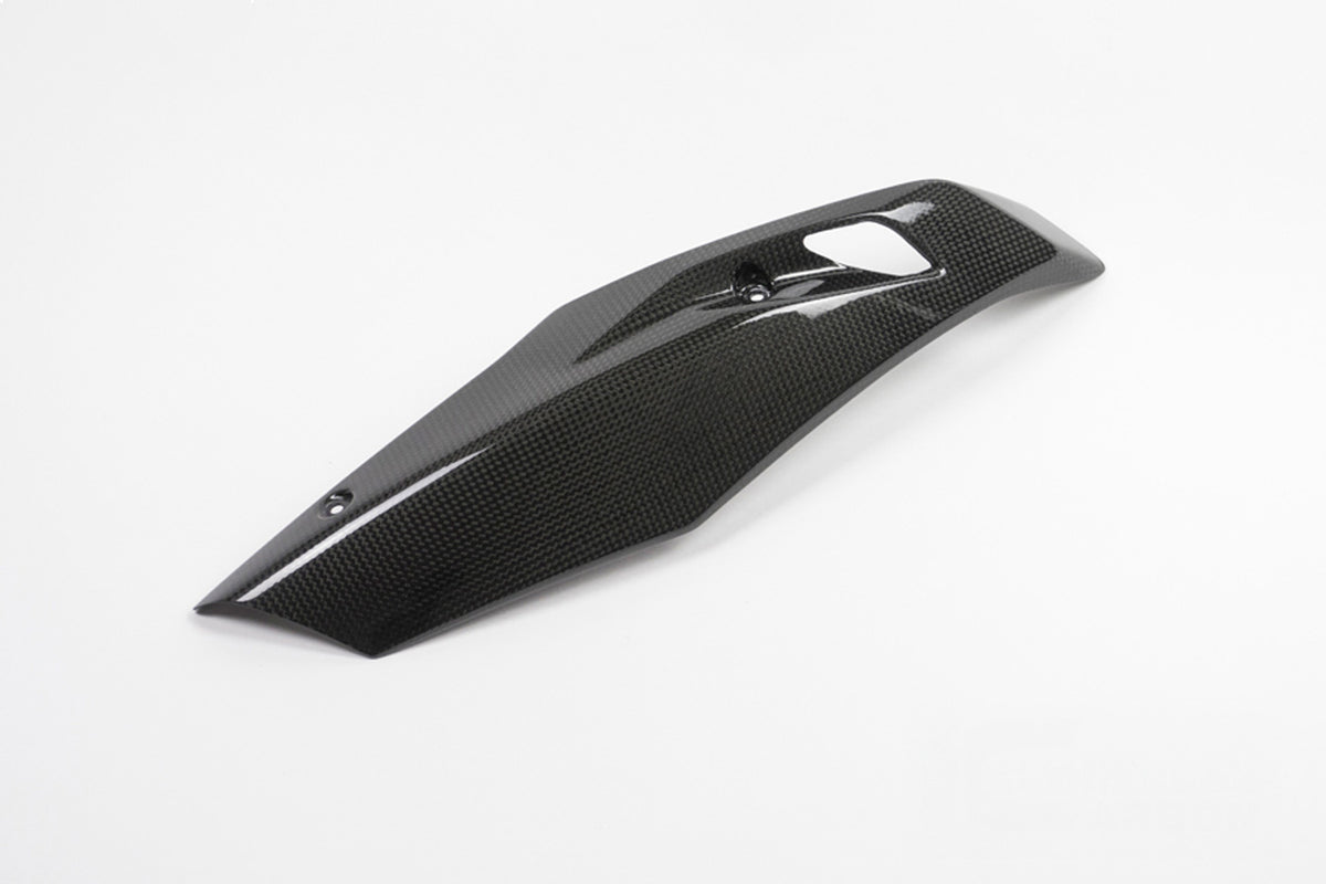 Ilmberger - Engine Spoiler for R 1200 R/RS LC