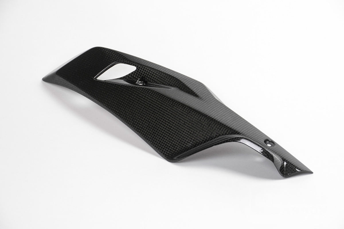 Ilmberger - Engine Spoiler for R 1200 R/RS LC