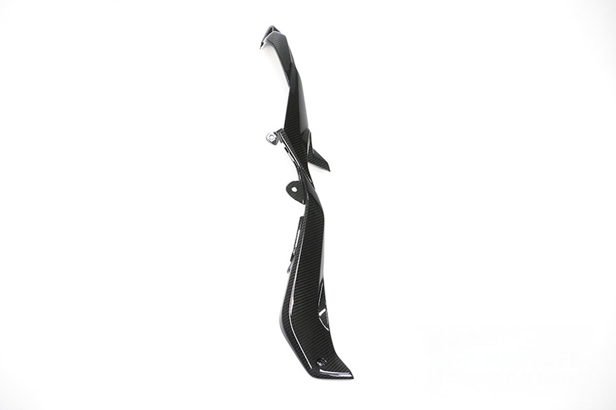 Ilmberger - Frame Tail Fairing for S 1000 XR S 1000 XR