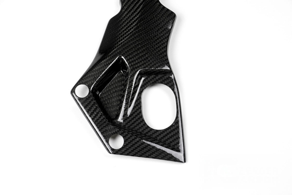 Ilmberger - Side Fairing for S 1000 RR (35910)