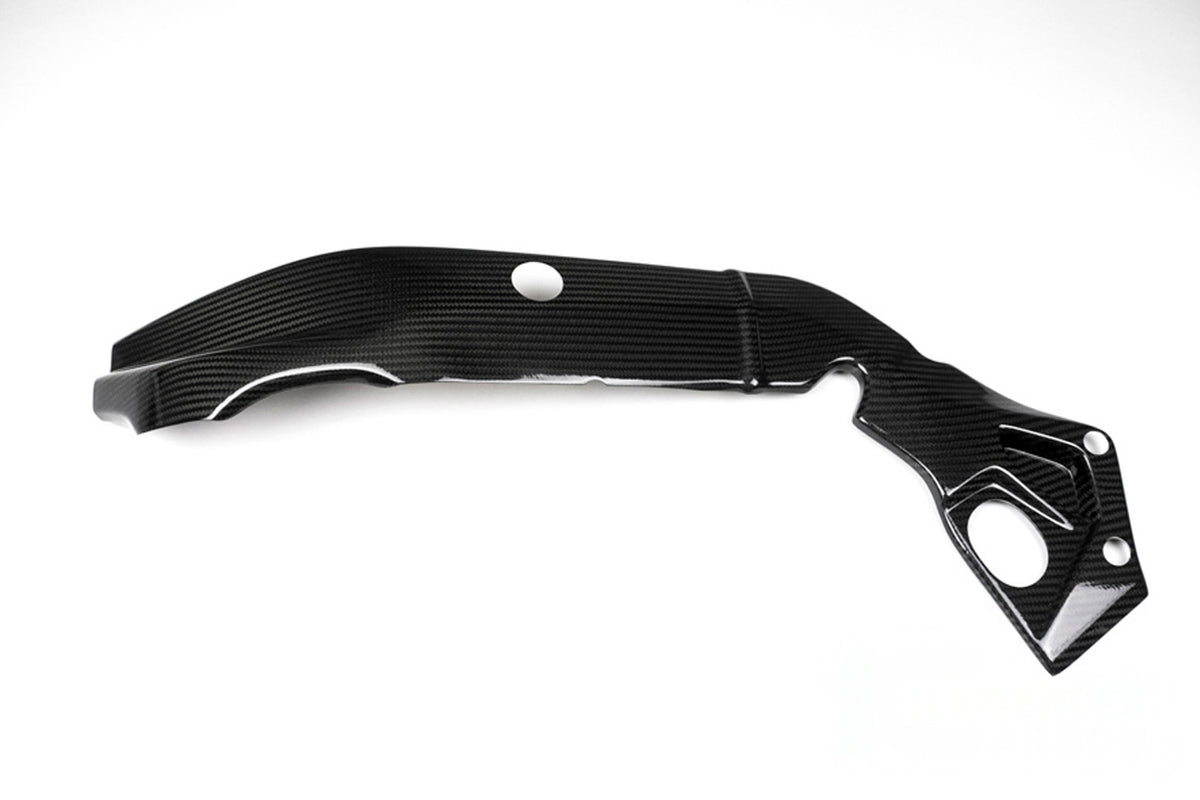 Ilmberger - Side Fairing for S 1000 RR (35910)