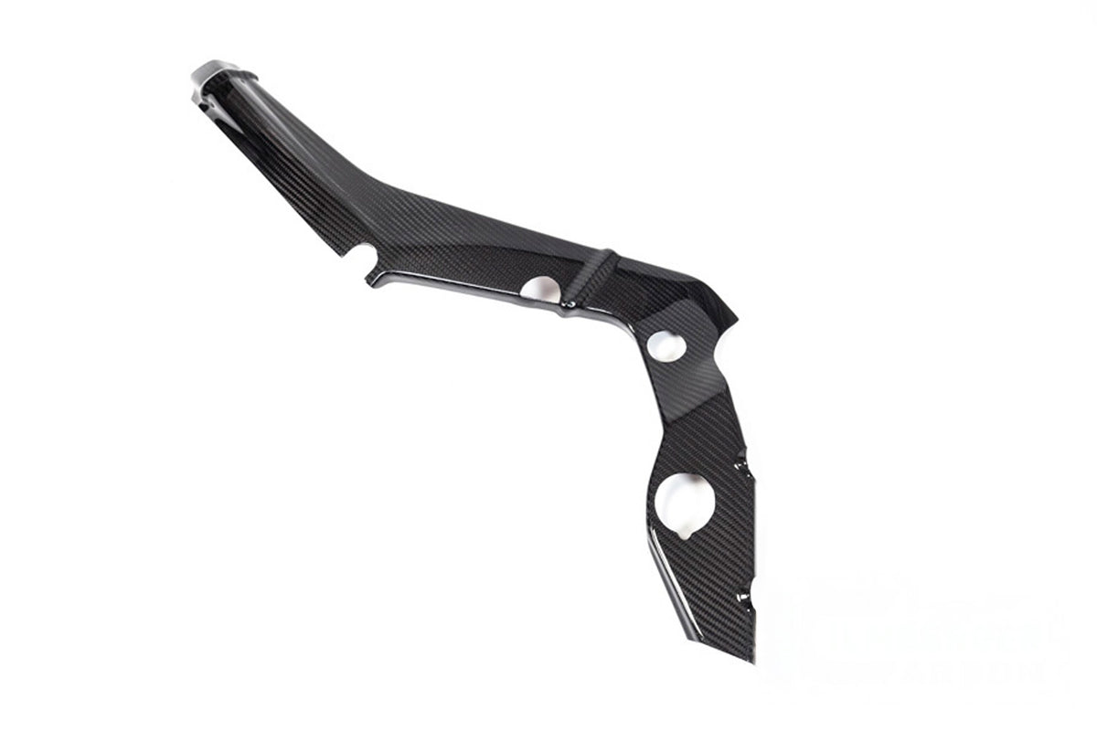 Ilmberger - Frame Cover M Frame for S 1000 RR (35910-401/35910-501)