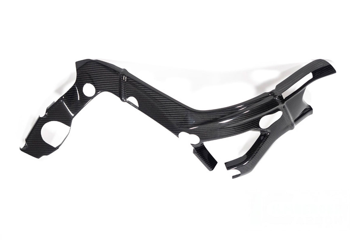 Ilmberger - Frame Cover M Frame for S 1000 RR (35910-411/35910-511)