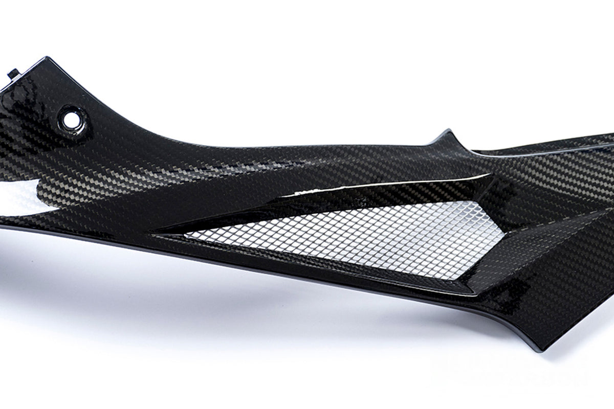 Ilmberger - Tank Fairing for S 1000 R/RR