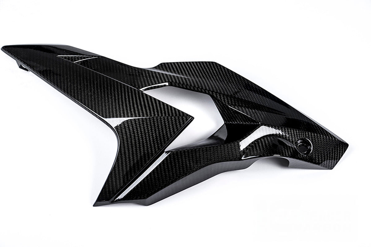 Ilmberger - Side Fairing for S 1000 R (36193)