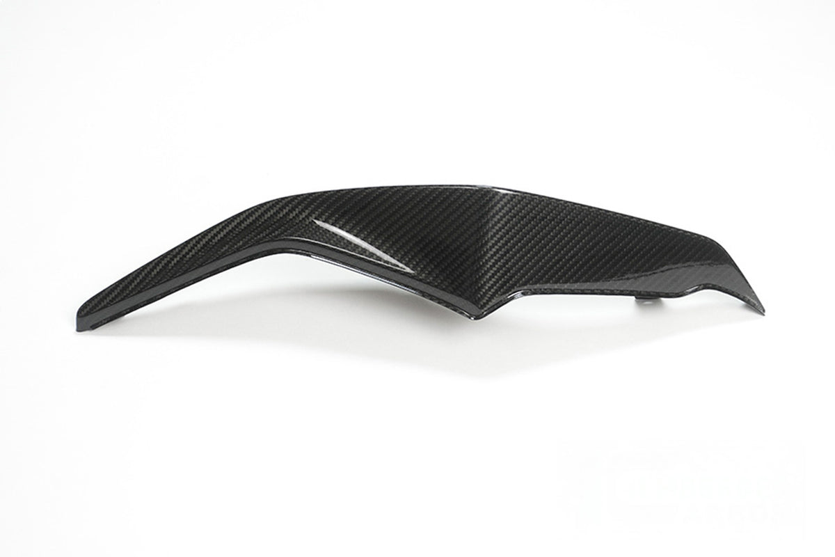 Ilmberger - Tail Fairing for S 1000 XR (36194-301)