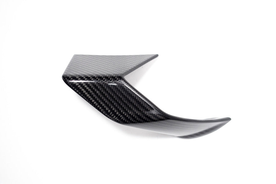 Ilmberger - Faring Side Winglet for S 1000 R