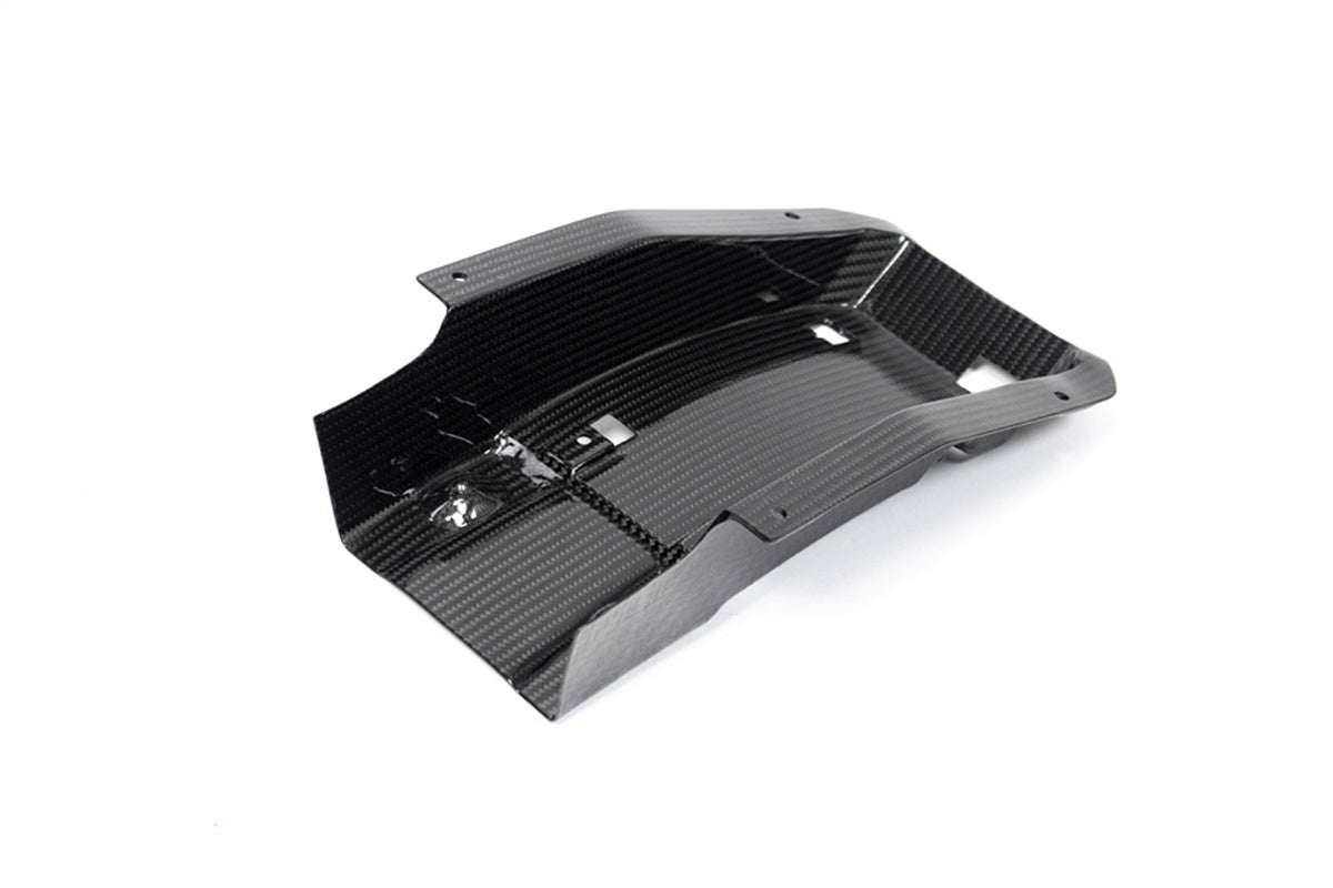 Ilmberger - Tail Fairing Racing for M 1000 RR