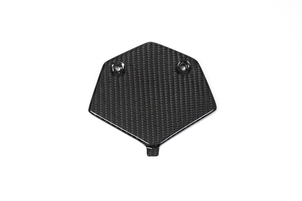 Ilmberger - Tail Fairing Racing for M 1000 RR