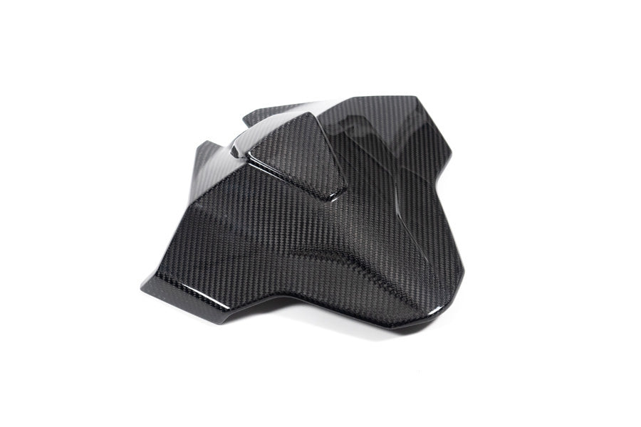 Ilmberger - Tail Fairing Monoposto for M 1000 RR