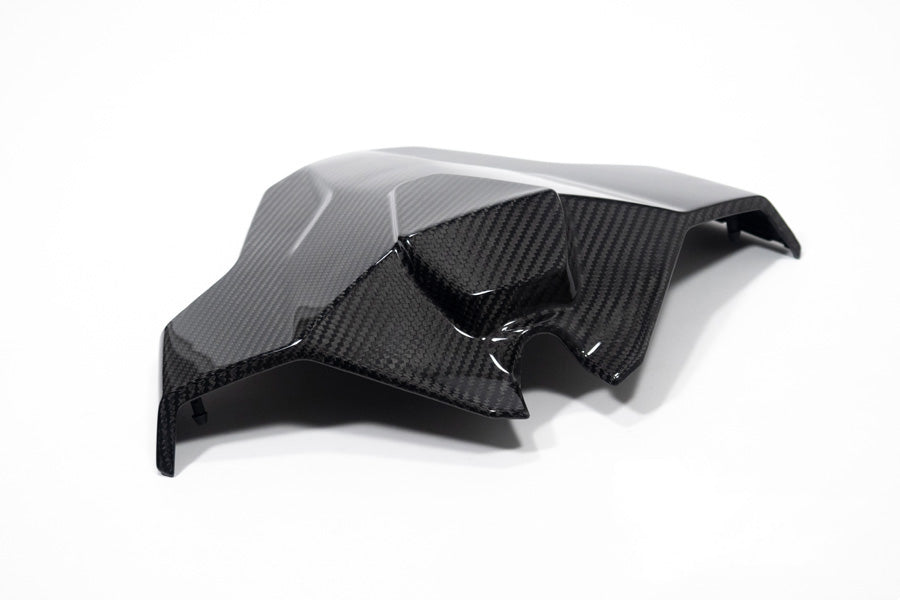 Ilmberger - Tail Fairing Monoposto for M 1000 RR