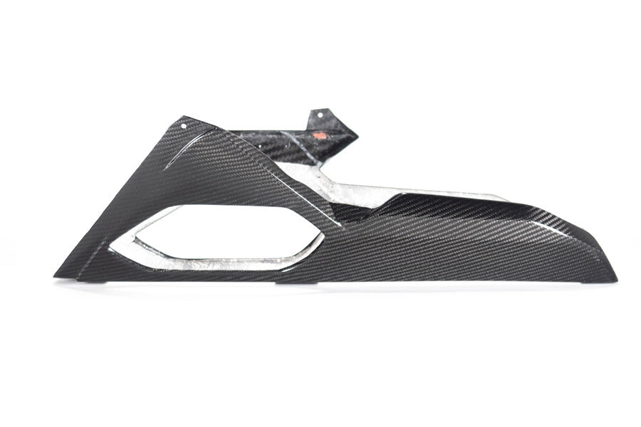 Ilmberger - Bellypan for M 1000 RR