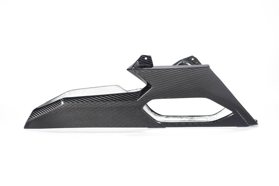 Ilmberger - Bellypan for M 1000 RR