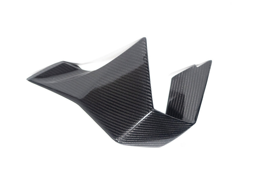 Ilmberger - Faring Side Winglet for M 1000 RR M 1000 RR