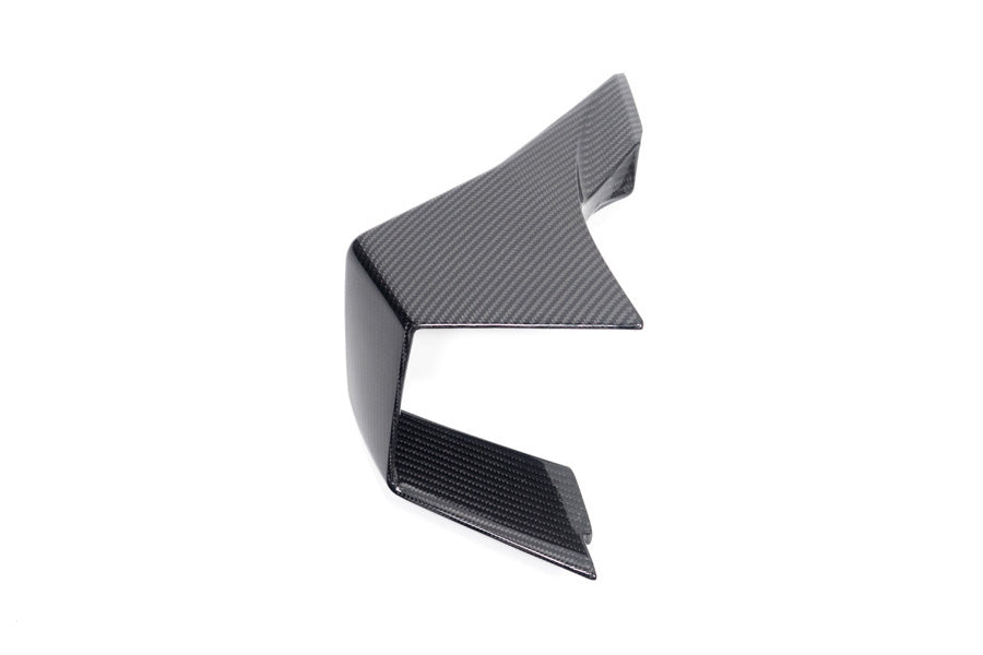 Ilmberger - Faring Side Winglet for M 1000 RR M 1000 RR