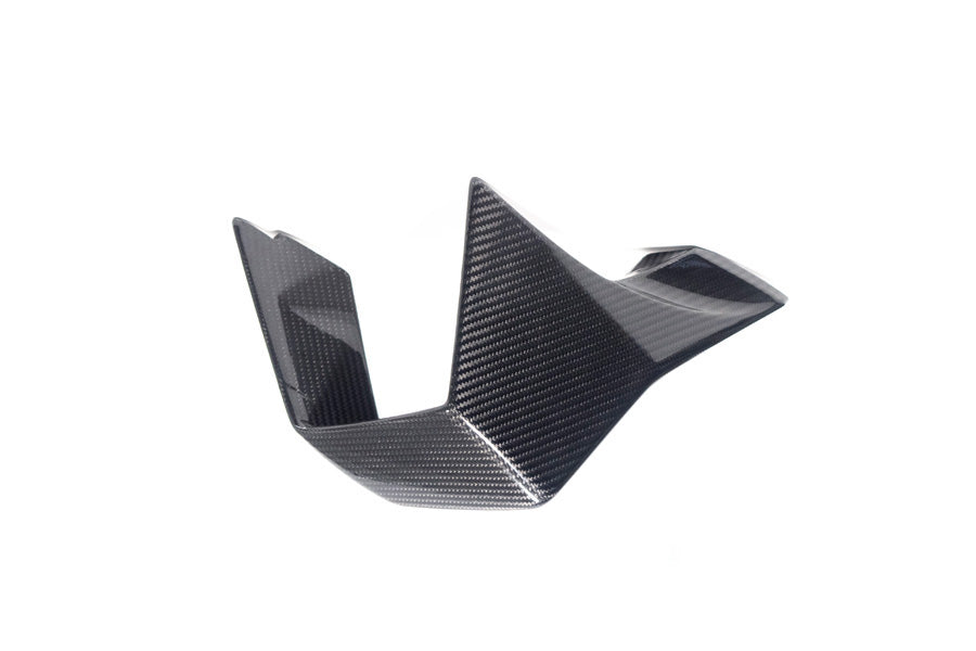Ilmberger - Faring Side Winglet for M 1000 RR M 1000 RR