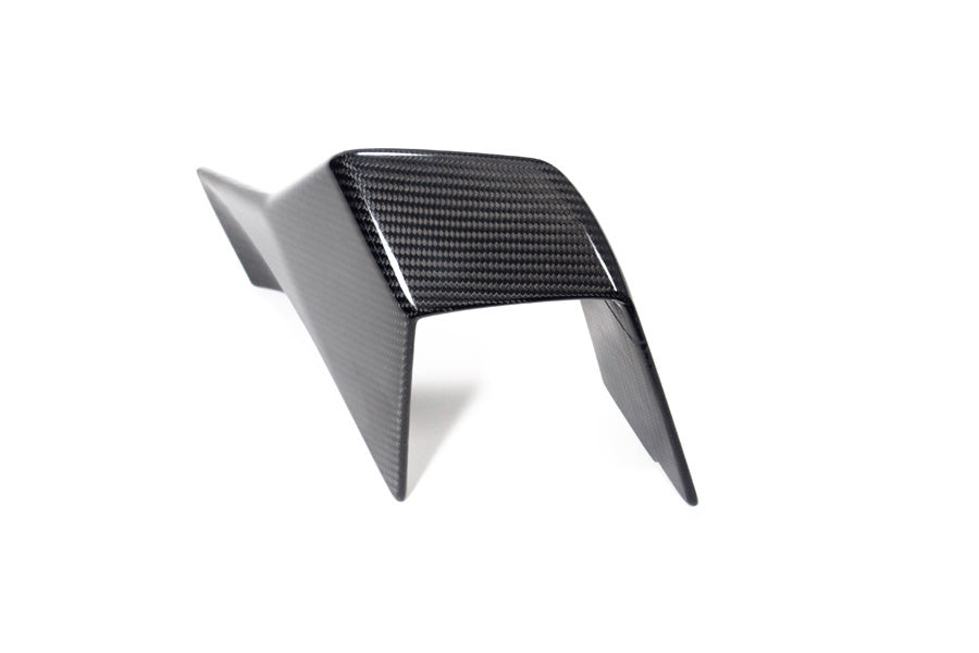 Ilmberger - Faring Side Winglet for M 1000 RR M 1000 RR