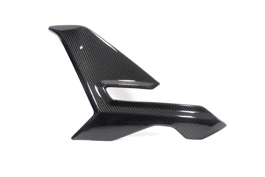 Ilmberger - Side Fairing for M 1000 R