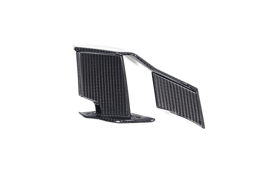 Ilmberger - Faring Side Winglet for M 1000 R