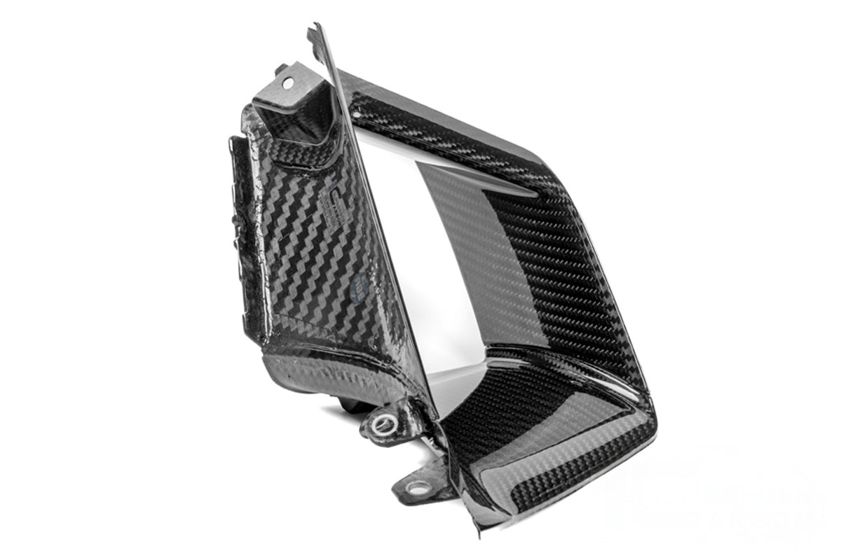 Ilmberger - Inner Panel for S 1000 RR