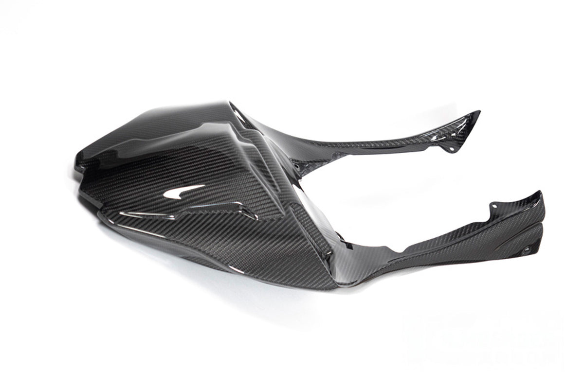 Ilmberger - Monoposto Rear Fairing for S 1000 RR