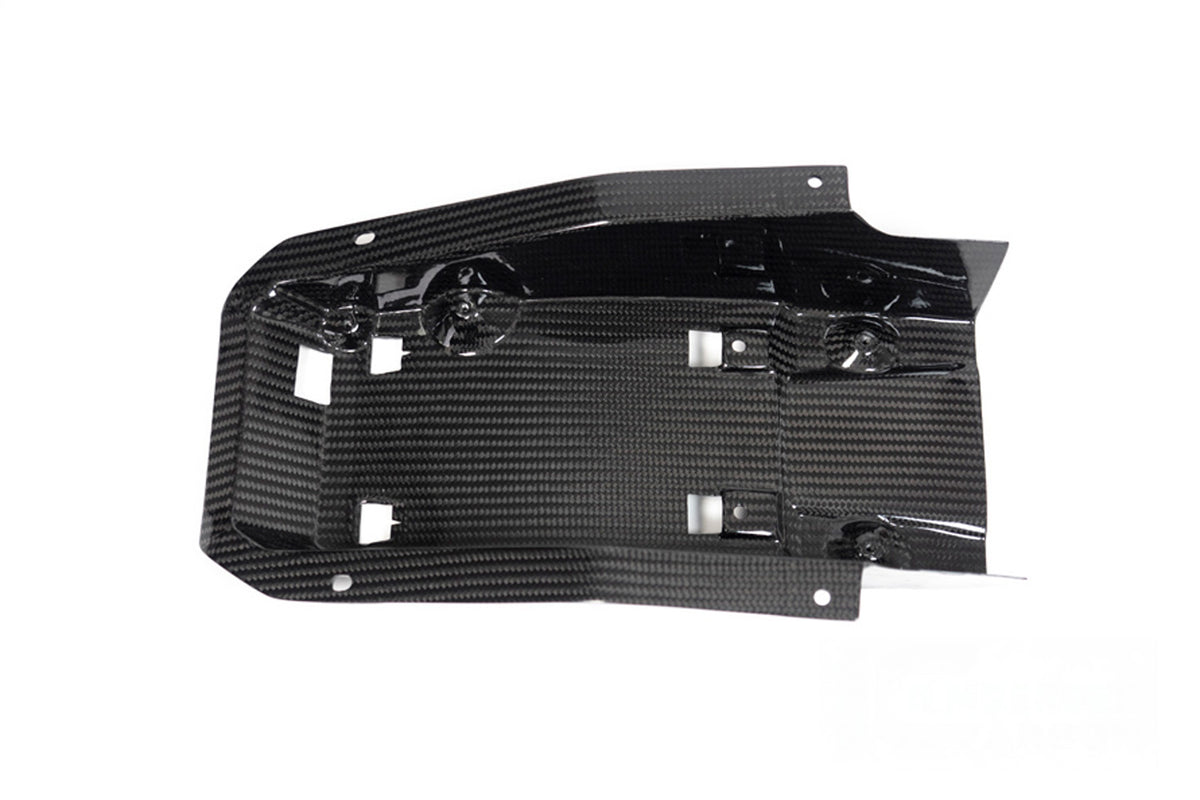 Ilmberger - Monoposto Rear Fairing for S 1000 RR