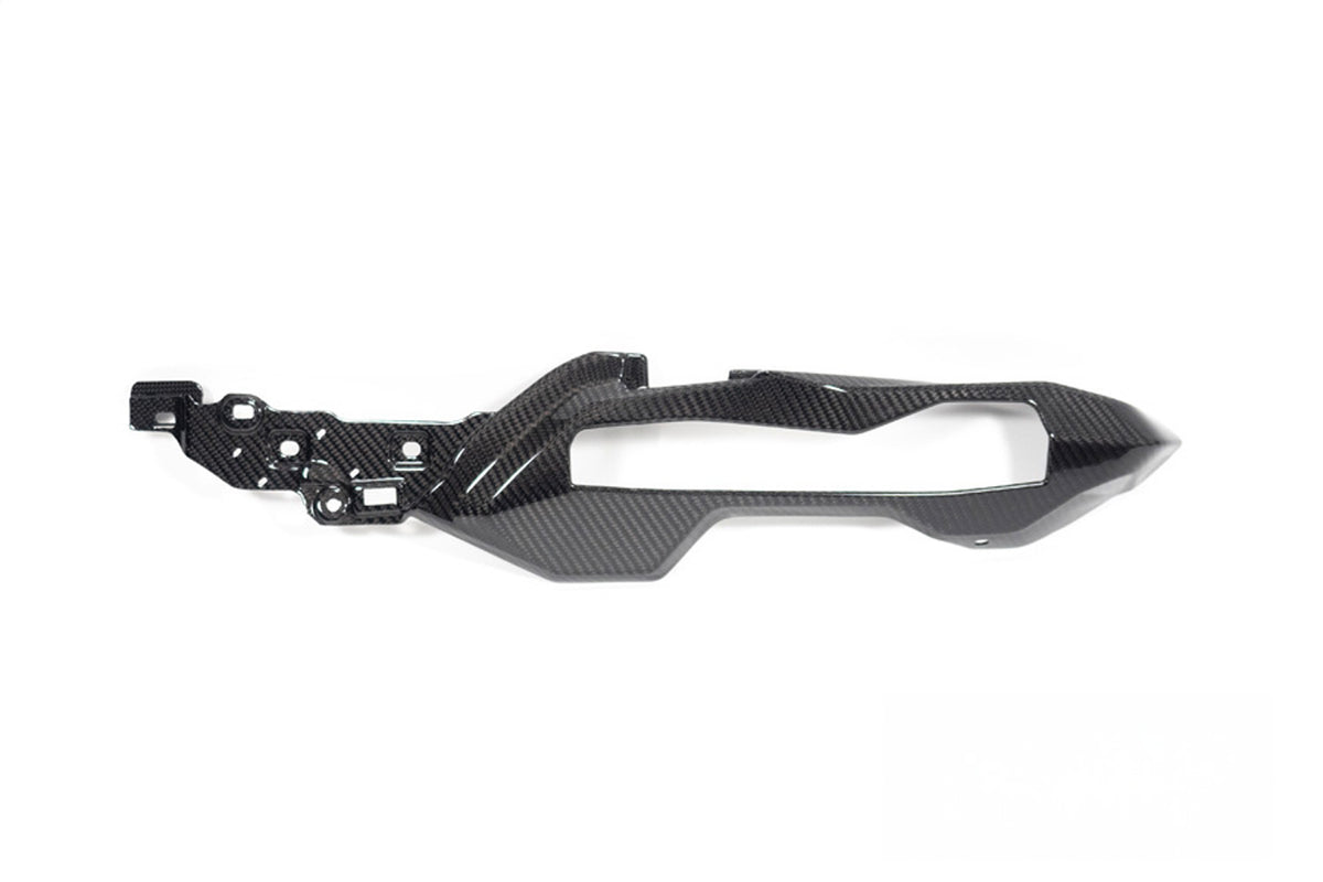 Rear Frame Cover Carbon BMW S 1000 XR 2024-36261-010