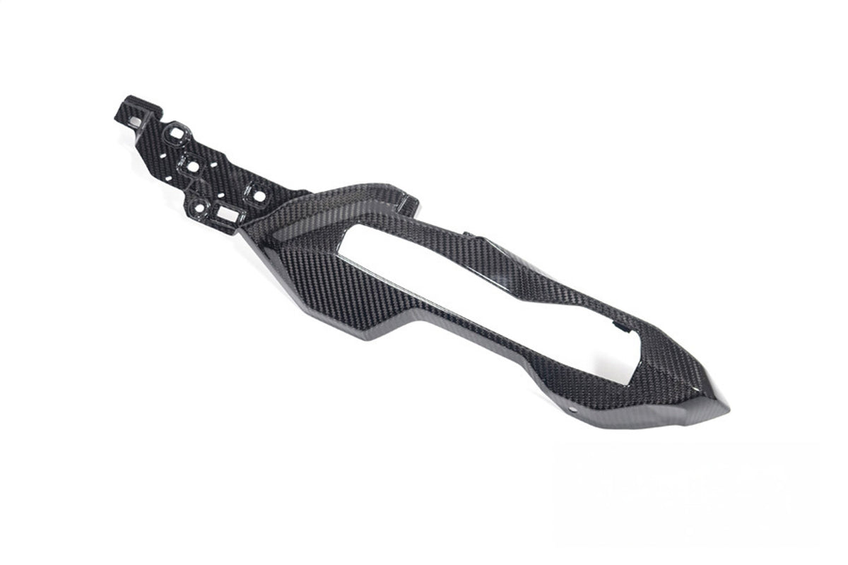 Rear Frame Cover Carbon BMW S 1000 XR 2024-36261-010