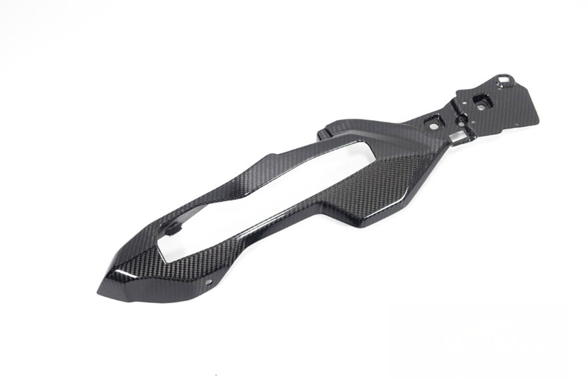 Ilmberger - Rear Frame Cover Carbon for BMW S 1000 XR 2024