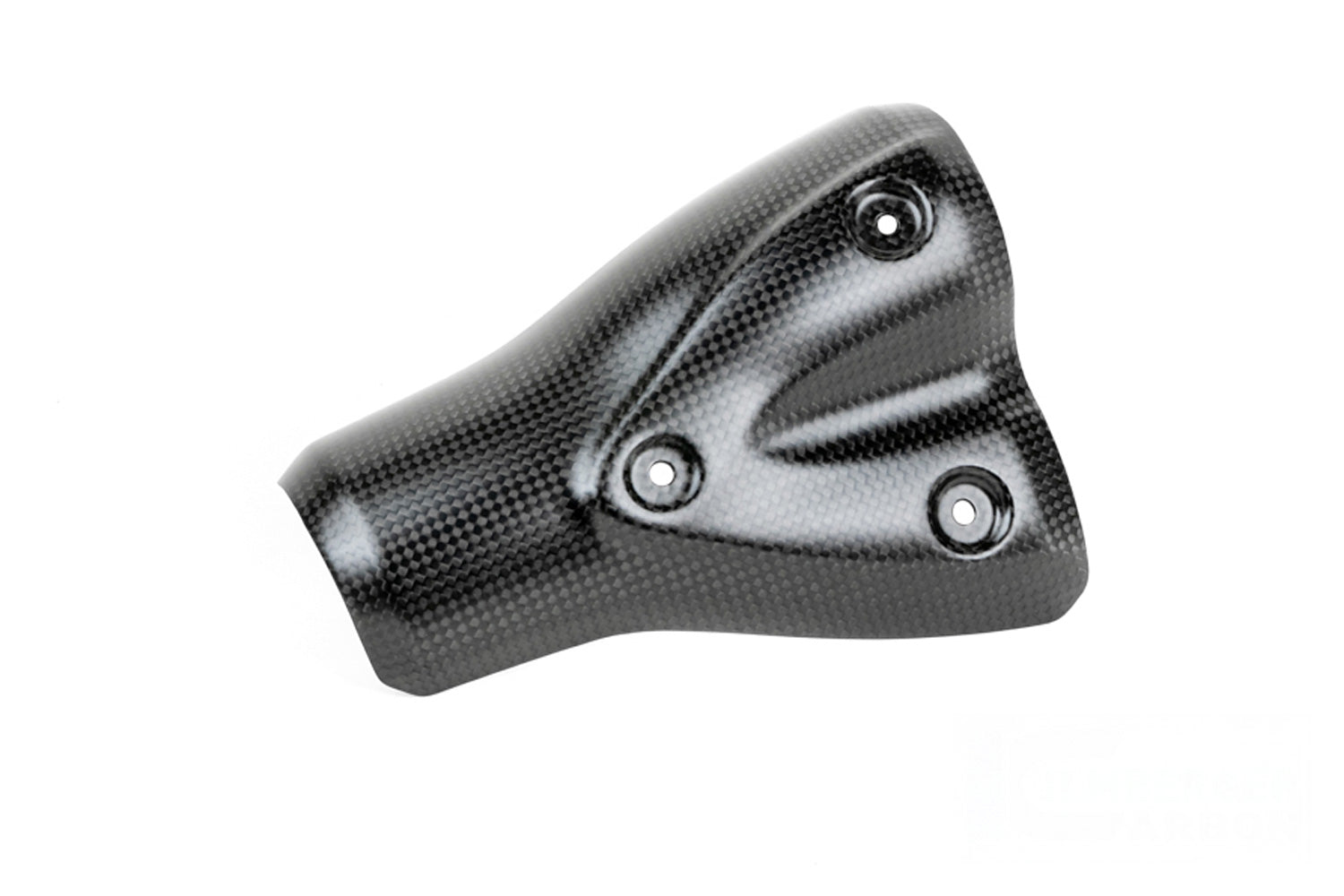 Ilmberger - Exhaust Heat Shield for BMW R 12 nineT 2024