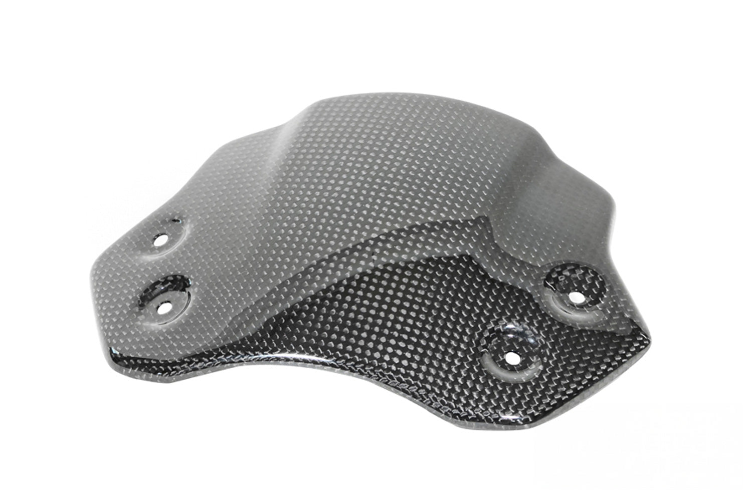 Ilmberger - Carbon Windshield for BMW R12 nineT (2024-)