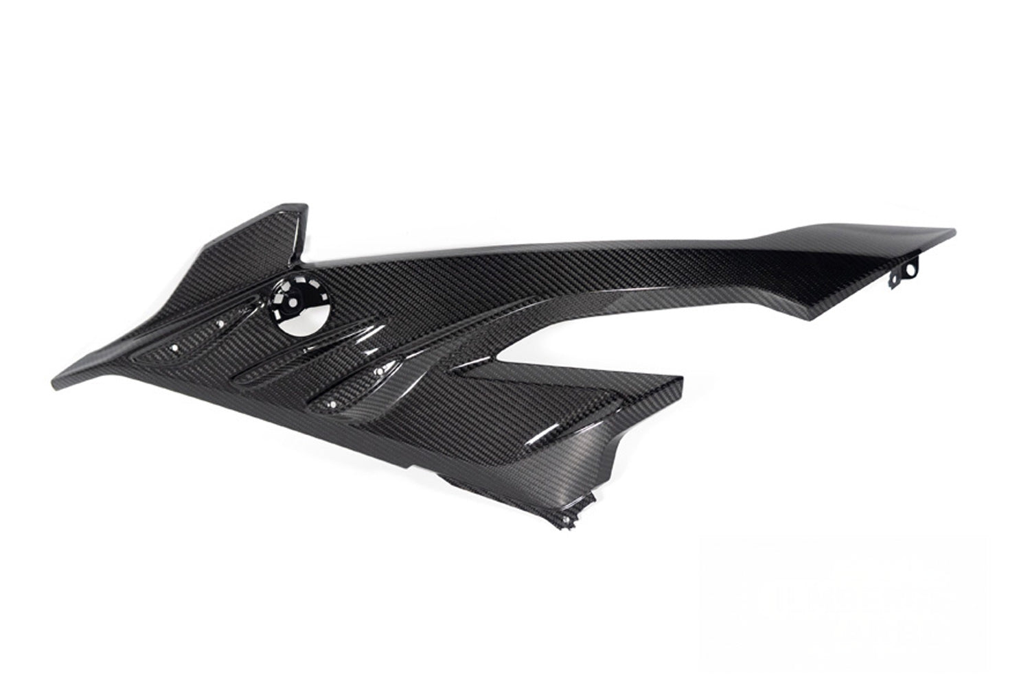 Ilmberger - Carbon Side Fairing Panel Road – for BMW S 1000 RR from 2023 (42429-010)