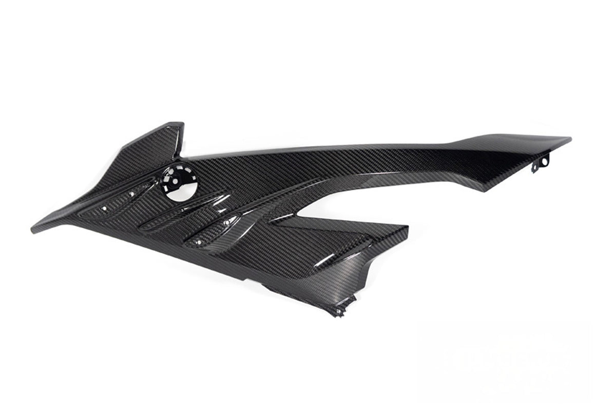 Ilmberger - Carbon Side Fairing Panel Road – for BMW S 1000 RR from 2023 (42429-010)
