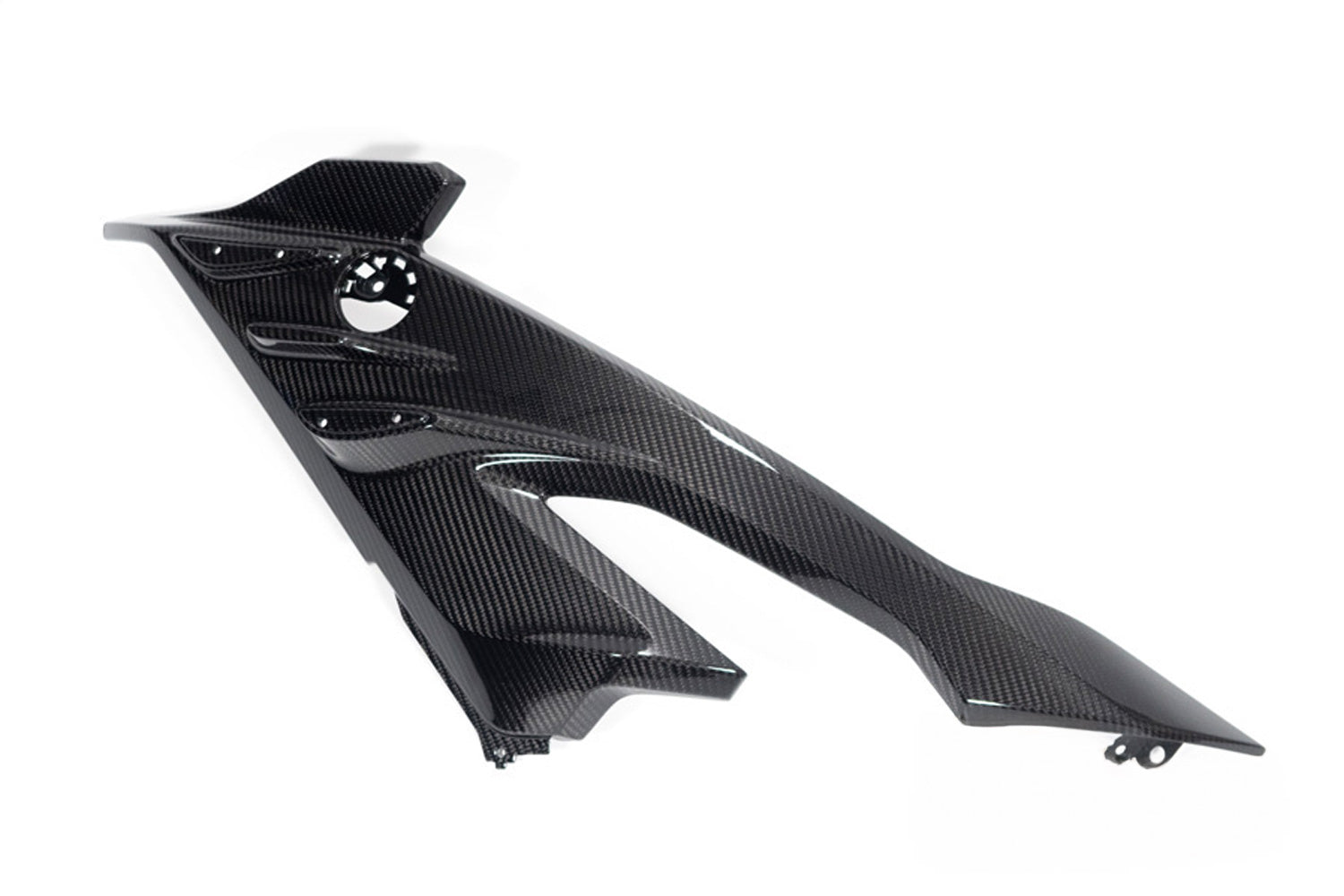 Ilmberger - Carbon Side Fairing Panel Road – for BMW S 1000 RR from 2023 (42429-010)