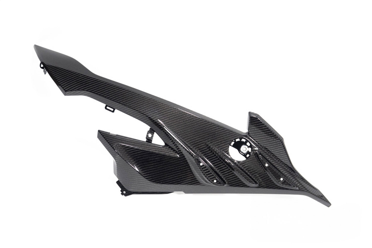 Ilmberger - Carbon Side Fairing Panel Road – for BMW S 1000 RR from 2023 (42429-020)