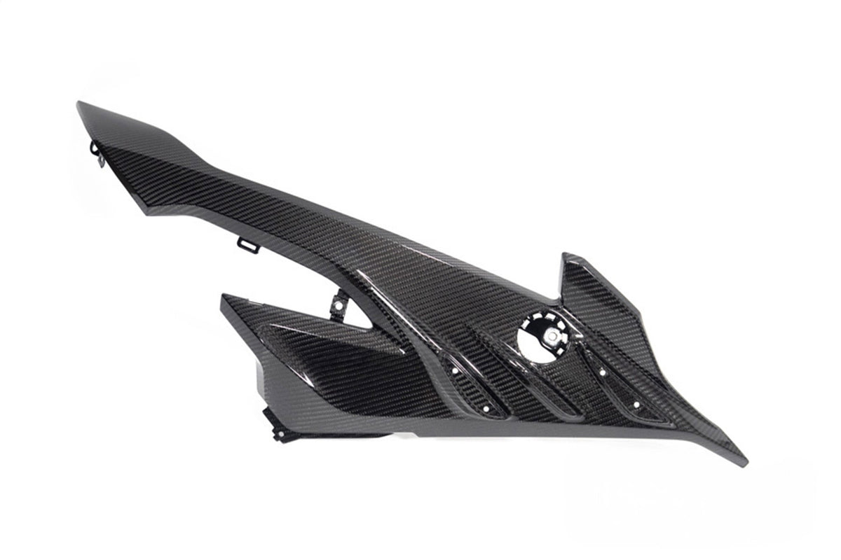 Ilmberger - Carbon Side Fairing Panel Road – for BMW S 1000 RR from 2023 (42429-020)