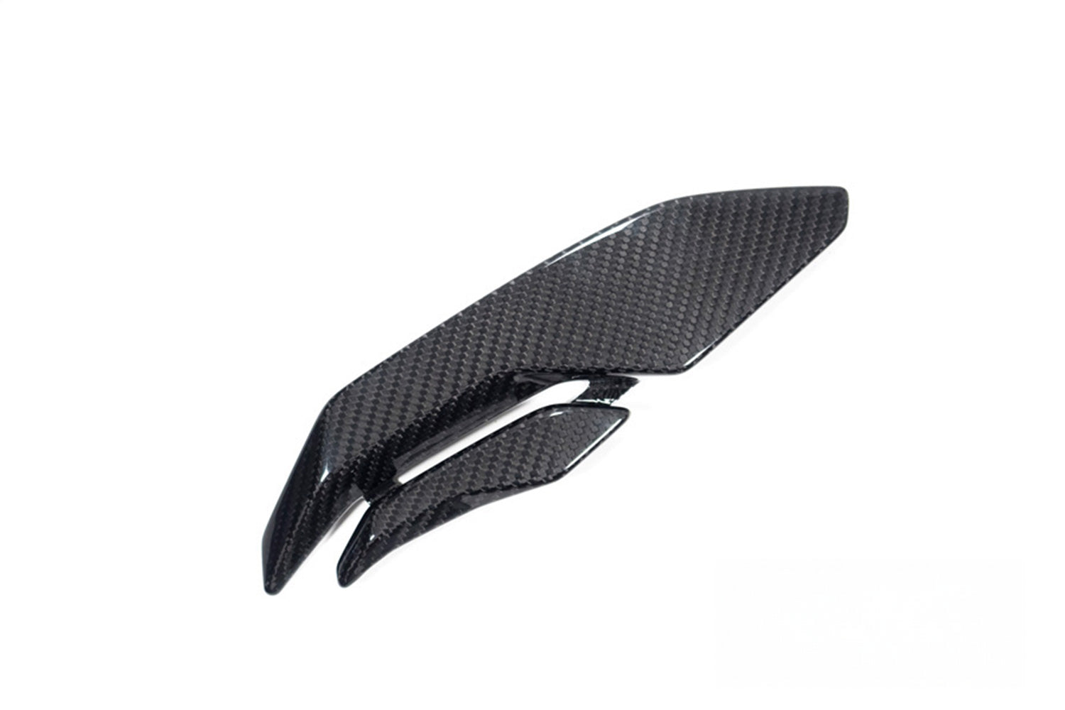 Ilmberger - Carbon Air Outlet – for S 1000 RR from 2023