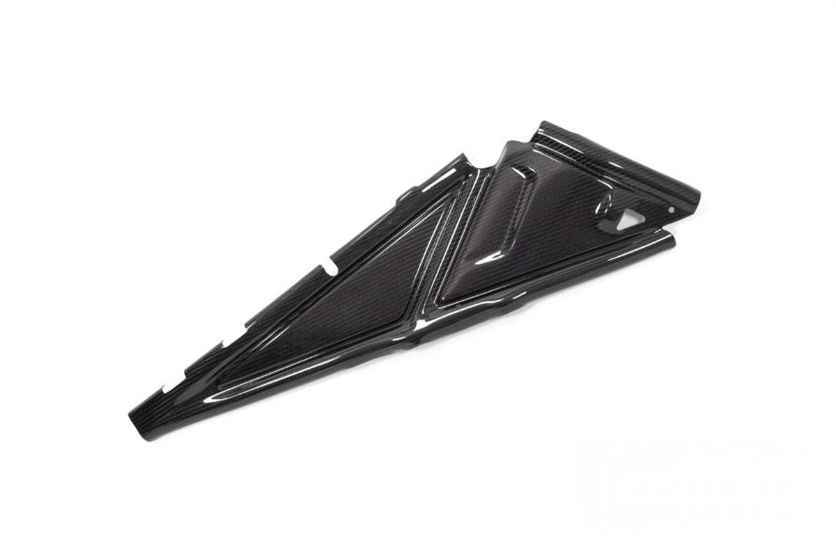Ilmberger - Rear Frame Cover for R 1250 GS