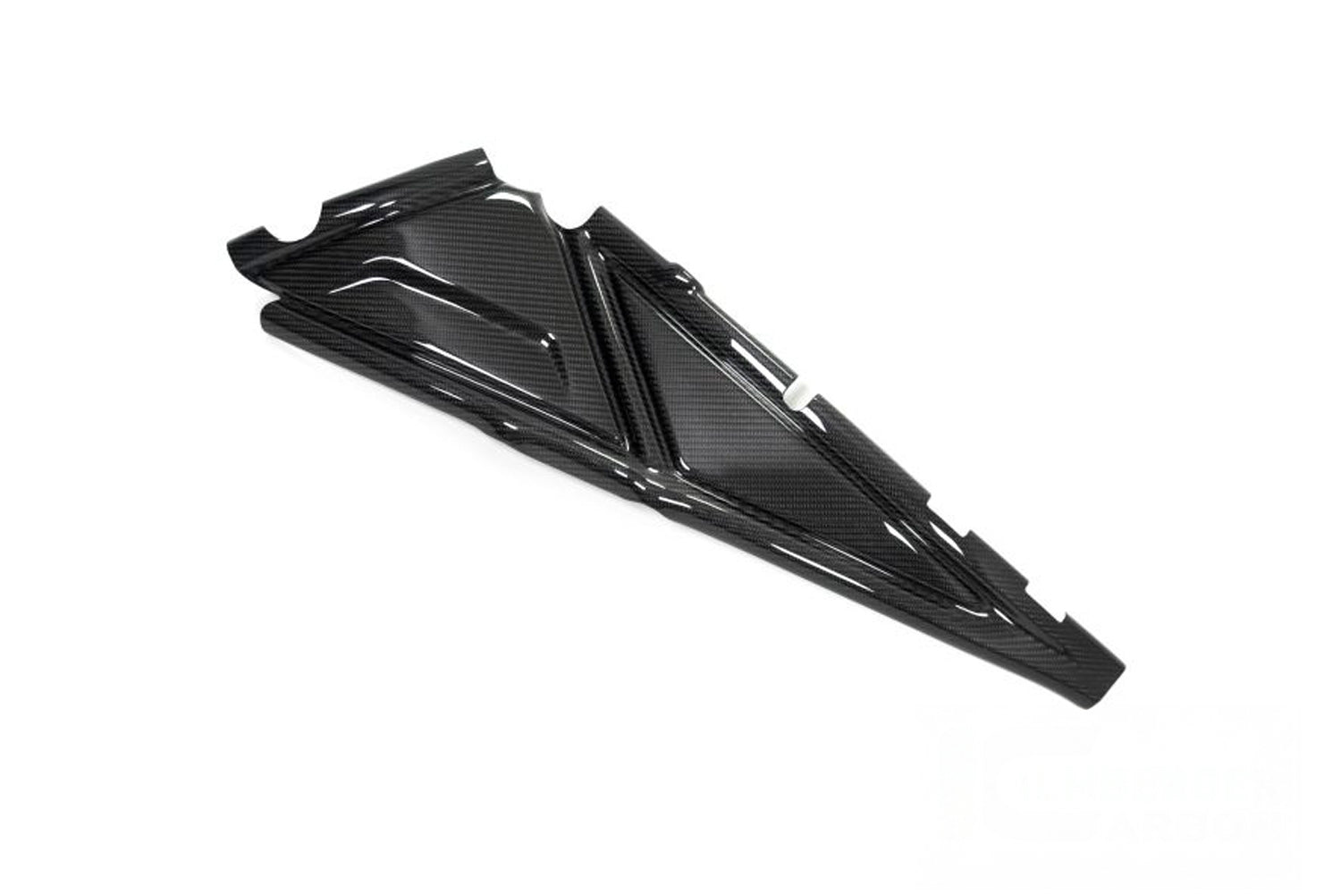 Ilmberger - Rear Frame Cover for R 1250 GS