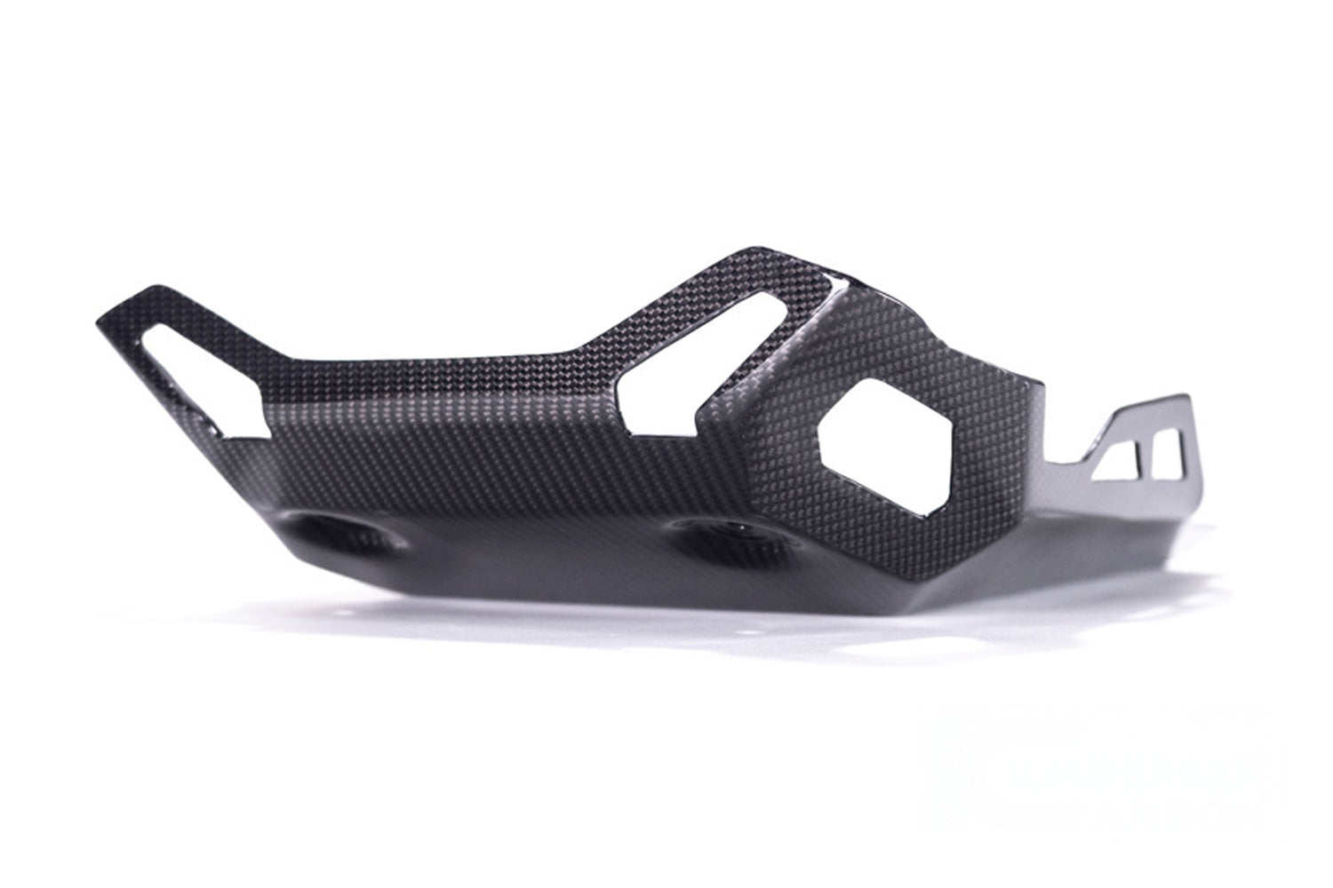 Ilmberger - Engine Protector for R 1250 GS
