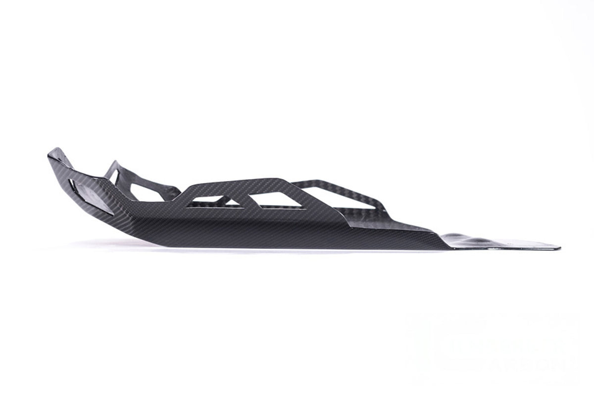 Ilmberger - Engine Protector for R 1250 GS
